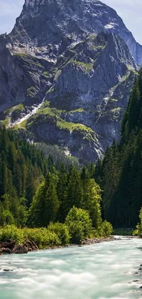 This stunning live wallpaper depicts a beautiful river with a mountain background and lush evergreen forest