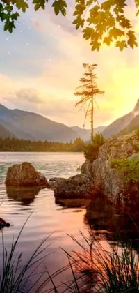 Immerse yourself in the serene beauty of nature with this breathtaking live wallpaper for your phone