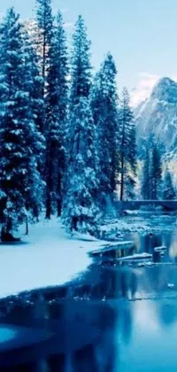 This phone live wallpaper showcases a serene matte painting of a snow-covered forest with a river flowing through it, set amidst the beautiful Yosemite National Park, perfect for nature enthusiasts
