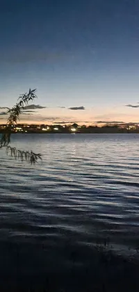 This phone live wallpaper showcases a stunningly realistic scene of a serene body of water and tree with distant town lights in the background