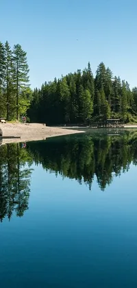 This phone live wallpaper features a serene body of water surrounded by lush trees in British Columbia