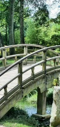 This phone live wallpaper features a serene park setting with a wooden bridge arching over a stream