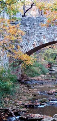 This phone live wallpaper showcases a serene scene of a stone bridge spanning over a calm creek, surrounded by trees and fall foliage