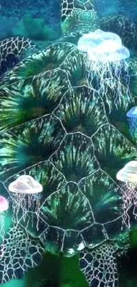 Water Plant Vertebrate Live Wallpaper