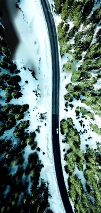 This live wallpaper showcases an awe-inspiring aerial view of a road cutting through a dense forest