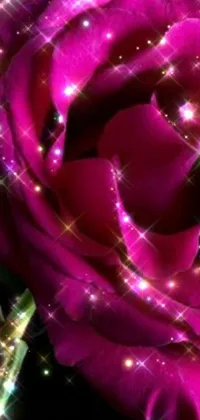 Enhance your phone's display with this exquisite close-up pink rose live wallpaper