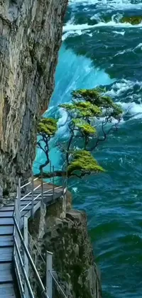 This stunning live wallpaper features a picturesque nature scene that includes a large tree perched on a cliff with a body of water below