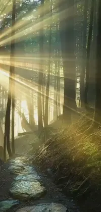 This phone live wallpaper depicts the breathtaking sight of the sun shining through trees in a serene forest setting