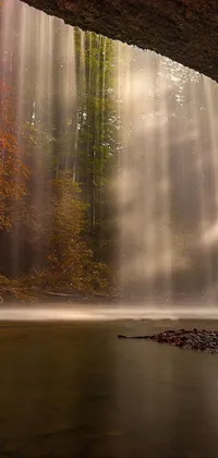 Get lost in the beauty of nature with this phone live wallpaper featuring a stunning waterfall in the middle of a serene forest