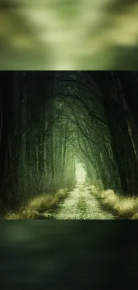 This phone live wallpaper depicts a dirt road amidst a forest, digitally illustrated in green lighting and a mysterious background