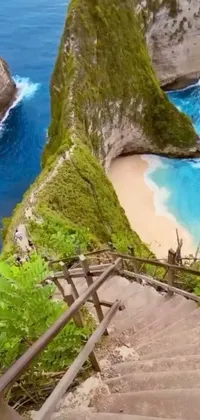 This stunning live phone wallpaper features a set of vibrant turquoise stairs leading down to a pristine white sandy beach surrounded by steep cliffs and tropical palm trees