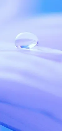 Introducing a breathtaking phone live wallpaper featuring a stunning macro photograph of a water droplet on a flower petal