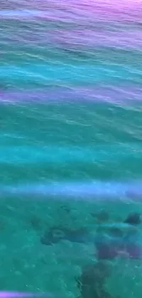 Water Purple Body Of Water Live Wallpaper