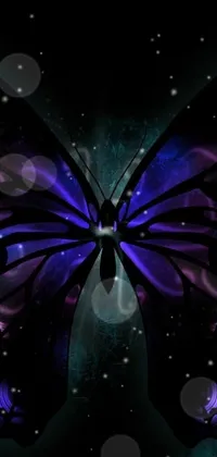 Water Purple Insect Live Wallpaper