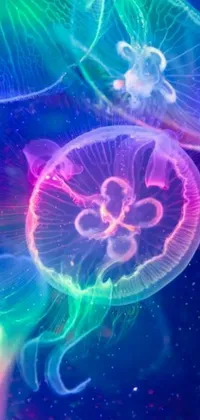 This live wallpaper features a stunning, high definition animation of jellyfish gracefully floating on a body of water in psychedelic colors