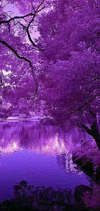 Water Purple Natural Landscape Live Wallpaper