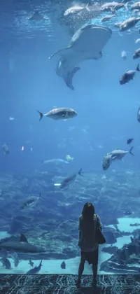 Water Reef World Live Wallpaper
