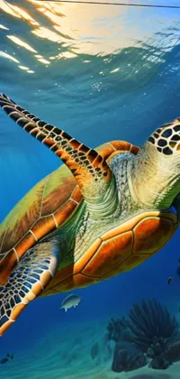 Water Reptile Hawksbill Sea Turtle Live Wallpaper