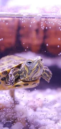 This live wallpaper features a dazzling depiction of a turtle swimming in a tank