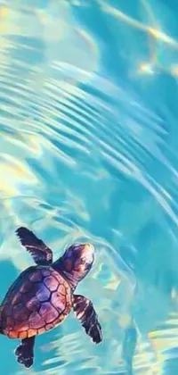 Water Reptile Sky Live Wallpaper