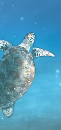 This live wallpaper features a mesmerizing turtle swimming in clear ocean waters