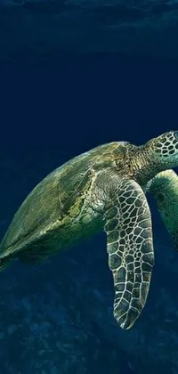 This live phone wallpaper features a striking digital rendering of a sea turtle swimming in the ocean