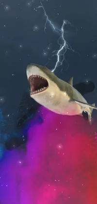 Water Requiem Shark Lamnidae Live Wallpaper