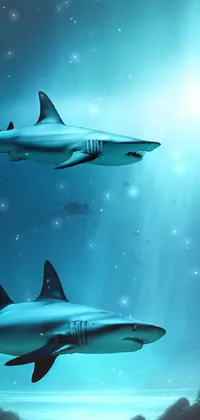 Water Requiem Shark Light Live Wallpaper