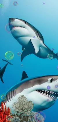 Water Requiem Shark Underwater Live Wallpaper