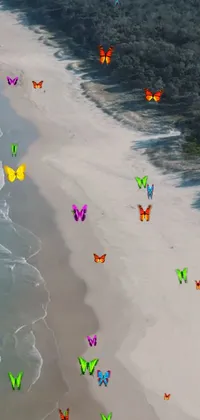 This lively phone live wallpaper showcases colorful butterflies flying over a beach, creating a mesmerizing sight