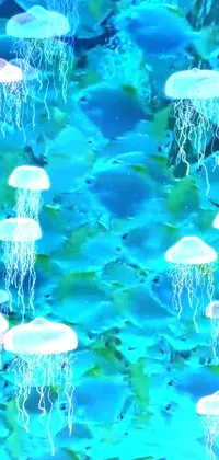 This live wallpaper features a group of digital jellyfish floating atop a serene body of water