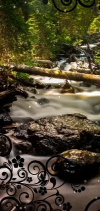 Enjoy the peaceful serenity of this forest live wallpaper for your phone