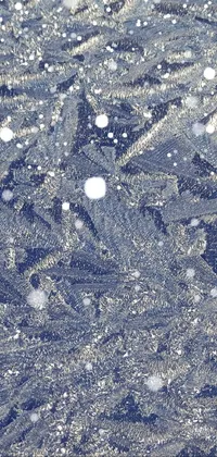 This live wallpaper captures a close up of ice crystals on a window, showcasing a microscopic and highly realistic photo of flattened crystals