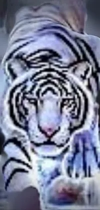 Water Siberian Tiger Roar Live Wallpaper