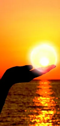 This live phone wallpaper showcases a captivating photo of a sun held by hands in front of a tranquil body of water