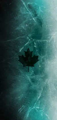This phone live wallpaper features a serene digital art of a floating leaf on top of a reflective surface