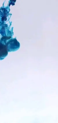 This vibrant phone live wallpaper features a jet flying brilliantly through the sky, set against a light blue water background
