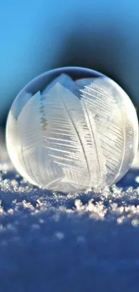 Get mesmerized by the stunning 3D effect of this live wallpaper featuring a glass ball with snowflakes inside, sitting on a snow-covered ground in the sunlight