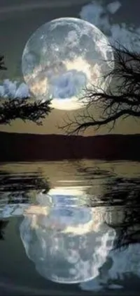 Enhance the look of your phone with this mesmerizing live wallpaper featuring the beautiful full moon's reflection in the water