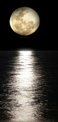 Bring the magic of the full moon to your phone with this stunning live wallpaper