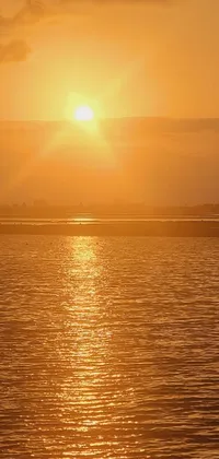 This stunning phone live wallpaper depicts a sunset over a body of water in Louisiana