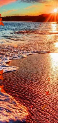 Experience a breathtaking sunset over the beach with this stunning live wallpaper