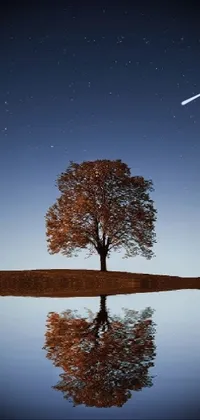 This live wallpaper features a beautifully simplistic autumnal scene of a single tree standing proudly amidst a serene body of water