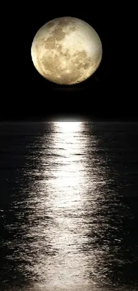 Transform your phone's screen into a stunning serene landscape with this full moon rising live wallpaper