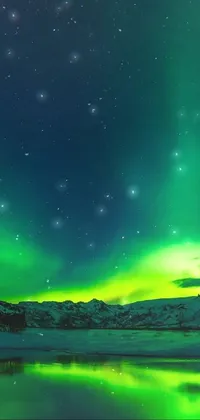Lala Live Wallpaper