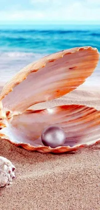 This beautiful phone live wallpaper showcases a realistic shell on a sandy beach, containing an awe-inspiring pearl that gleams in the sunlight