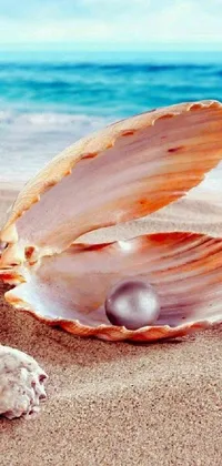 This enchanting phone live wallpaper showcases a photorealistic painting of a shell and pearl, set against a serene sandy beach
