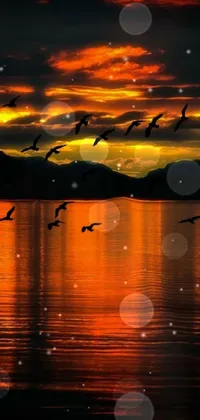 Water Sky Bird Live Wallpaper