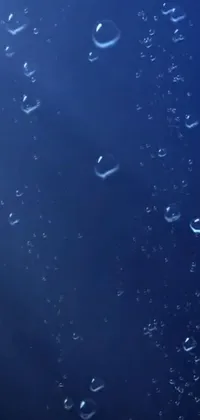 This live wallpaper showcases a peaceful and relaxing scene of a group of bubbles floating on a vibrant blue ocean surface