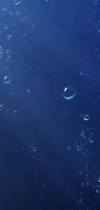 Bring the calmness of the deep sea to your phone screen with this gorgeous live wallpaper